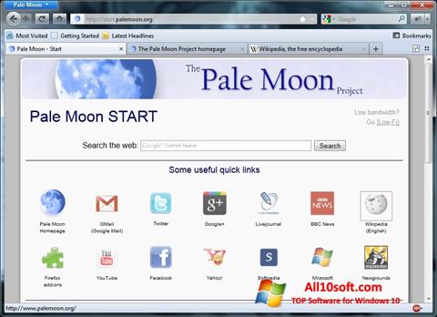 স্ক্রিনশট Pale Moon Windows 10