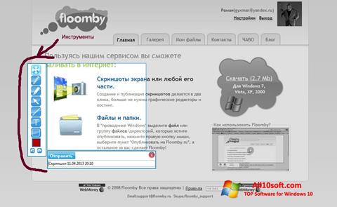 স্ক্রিনশট Floomby Windows 10