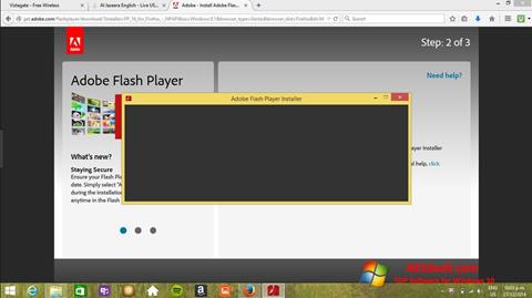 স্ক্রিনশট Adobe Flash Player Windows 10